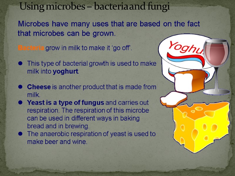 Microbes have many uses that are based on the fact that microbes can be